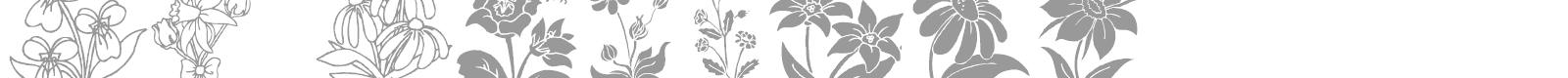 DT Flowers font preview